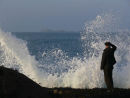 Salute to the Wave